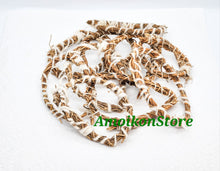 Load image into Gallery viewer, Gongolili- Khus Khus- Organic Vetiver Root