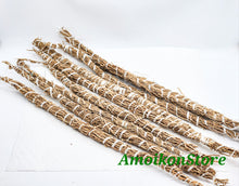 Load image into Gallery viewer, Gongolili- Khus Khus- Organic Vetiver Root