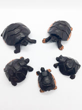 Load image into Gallery viewer, Family of 5 African Handmade Hand Carved Wooden Turtles