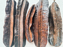 Load image into Gallery viewer, Aidan Fruit- Prekese 6 Pods