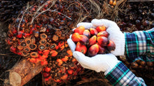 Load image into Gallery viewer, Praise African Palm OIL- Huile de palm- Huile Rouge- African Red Palm Oil