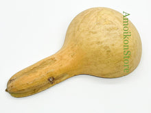 Load image into Gallery viewer, African Ladle/ Handmade African Calabash Spoon/ Boho Spoon