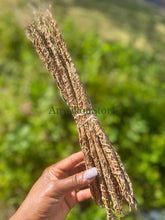 Load image into Gallery viewer, Gongolili- Khus Khus- Organic Vetiver Root