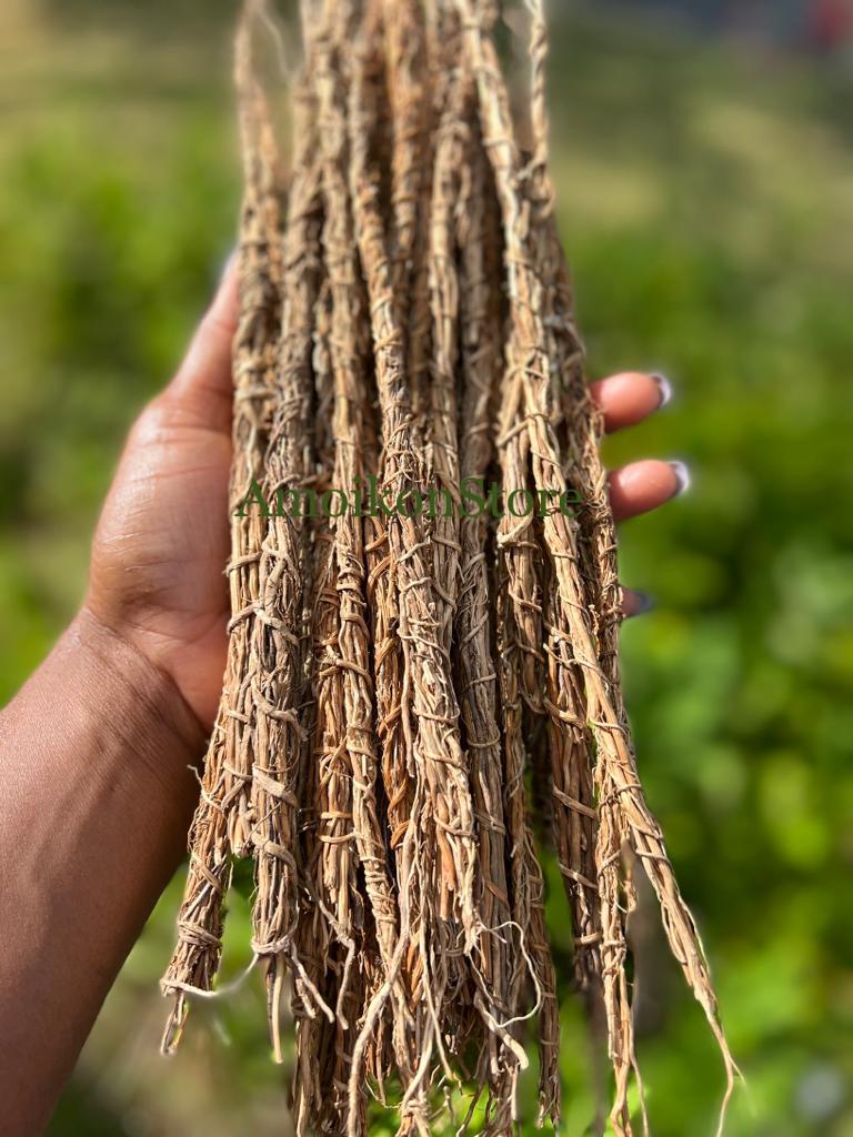 10 Vetiver roots (Khamare stems)