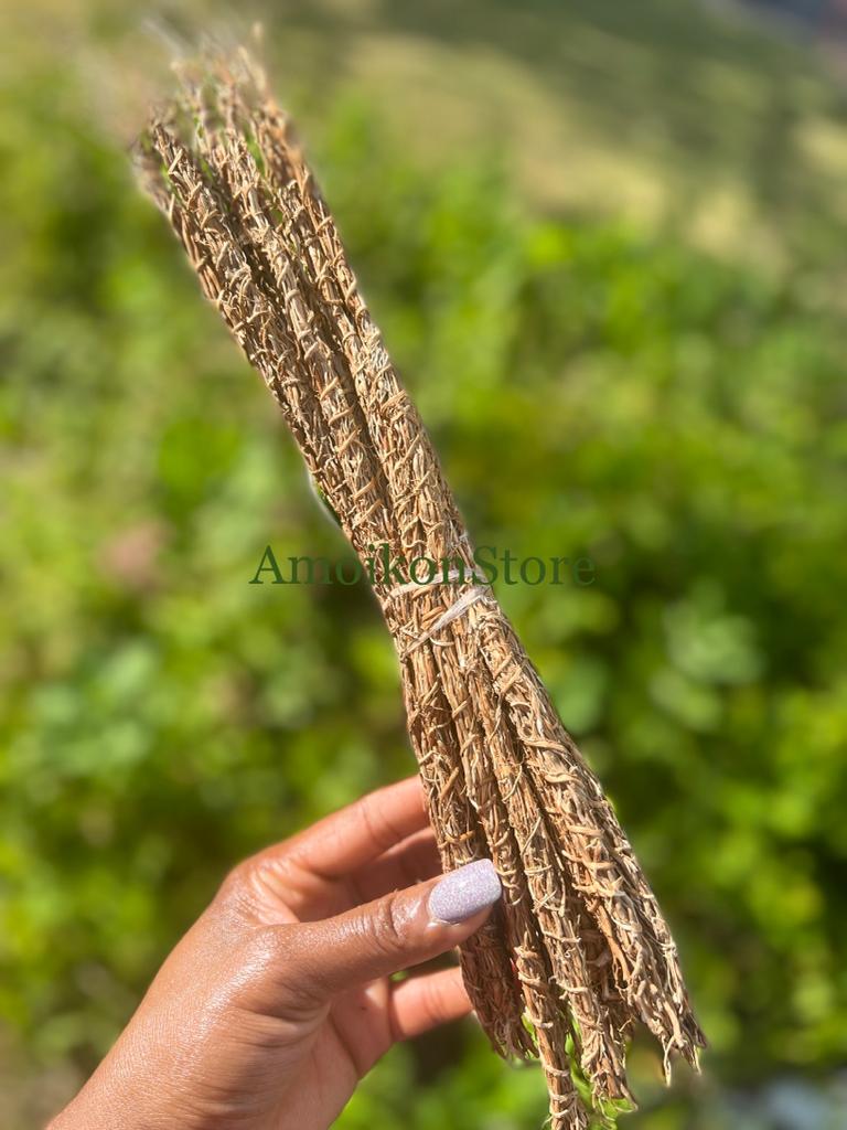 Gongolili- Khus Khus- Organic Vetiver Root – TinaKKollection