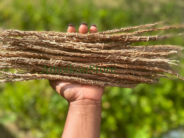 Bunch of organic vetiver roots khamare gongolili 40 gr